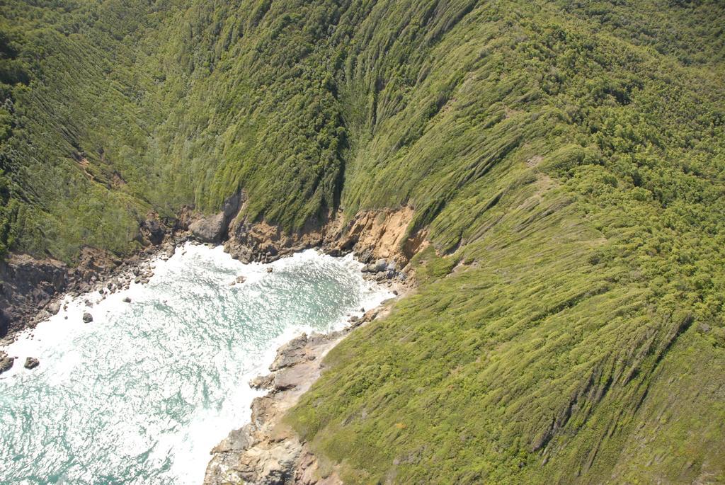 Carribbean Madicreole Au Carbet Villa Le Carbet Dış mekan fotoğraf